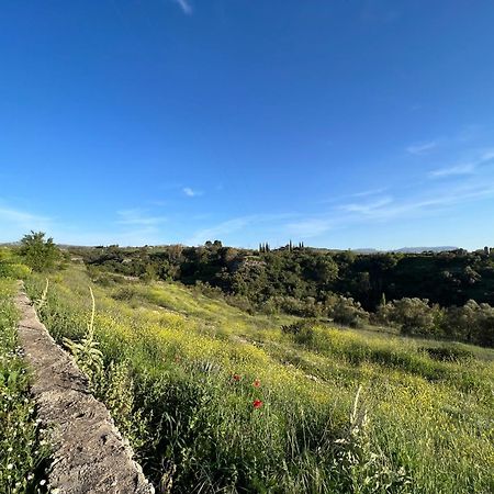 אריאטה Villa Ignacia B&B - Naturaleza Entre Ronda Y Setenil מראה חיצוני תמונה
