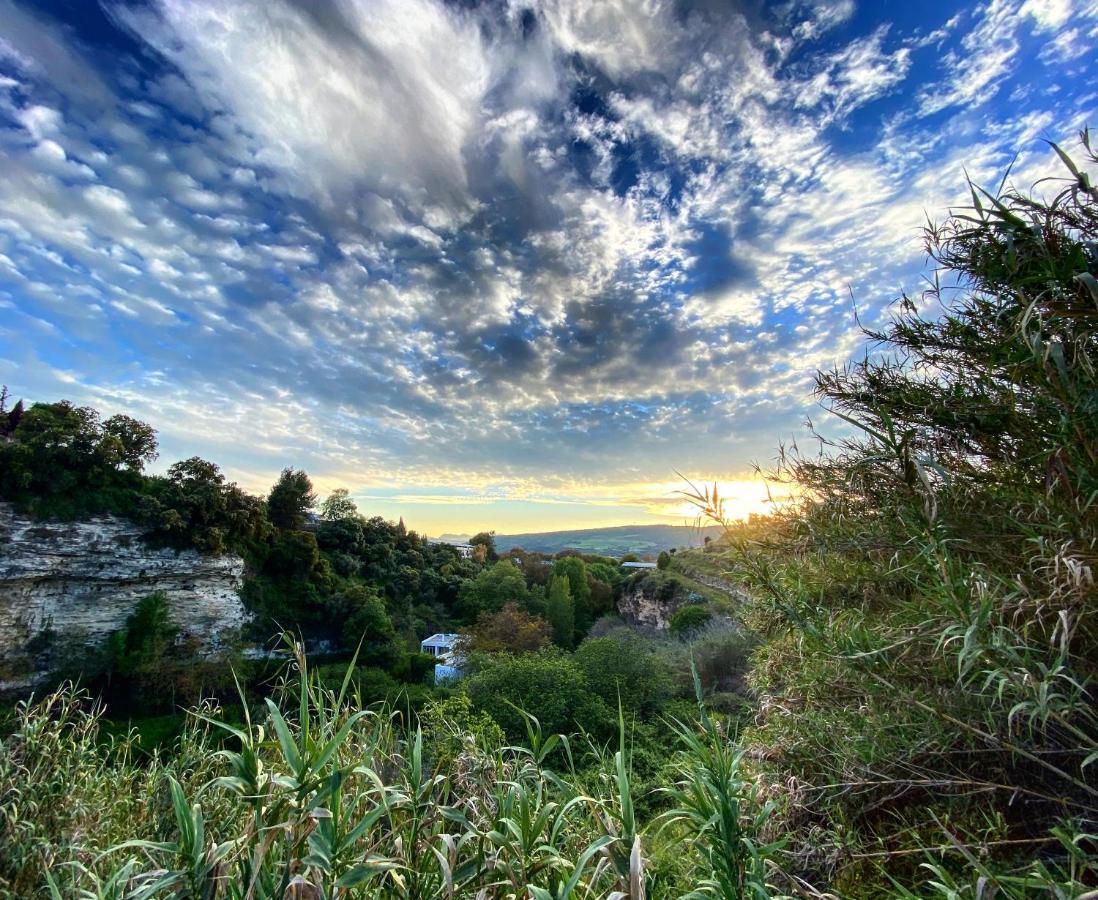 אריאטה Villa Ignacia B&B - Naturaleza Entre Ronda Y Setenil מראה חיצוני תמונה