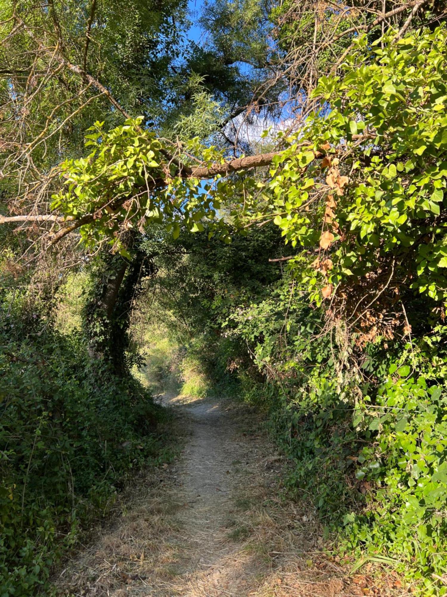 אריאטה Villa Ignacia B&B - Naturaleza Entre Ronda Y Setenil מראה חיצוני תמונה