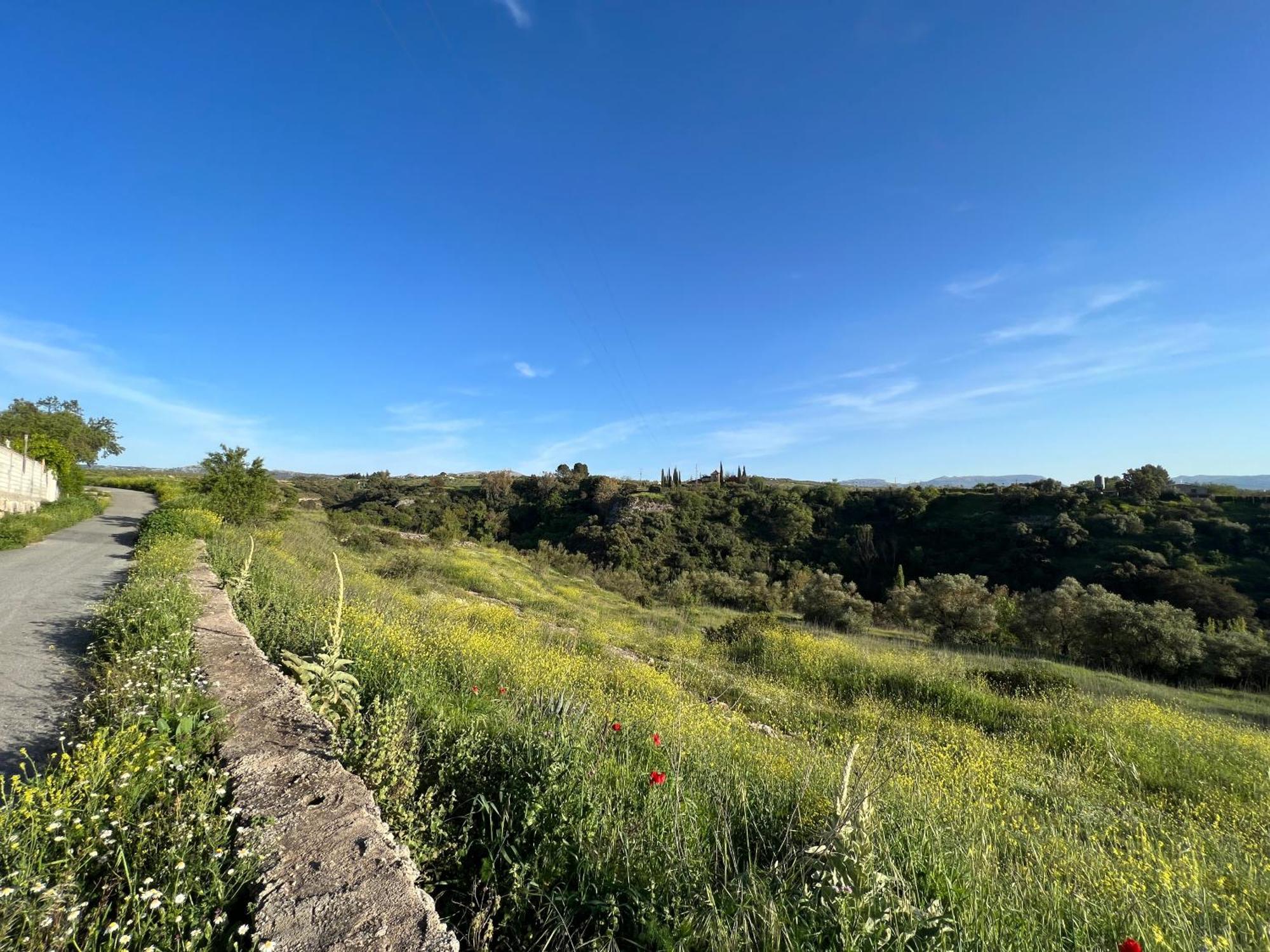 אריאטה Villa Ignacia B&B - Naturaleza Entre Ronda Y Setenil מראה חיצוני תמונה